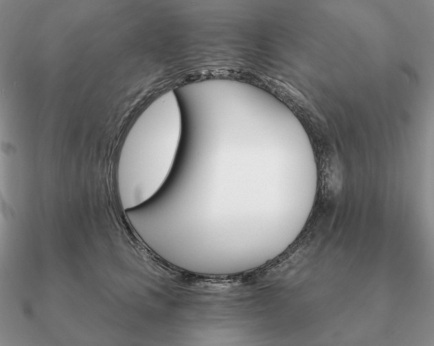 X0000090910661200708061523