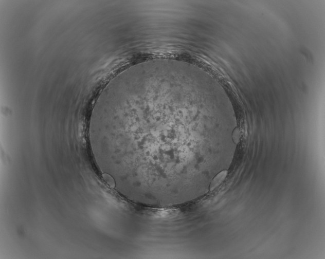 X0000090910663200708061523