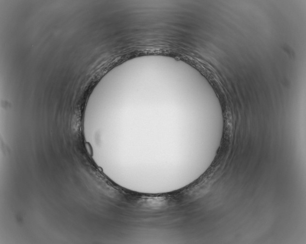 X0000090910665200708061523