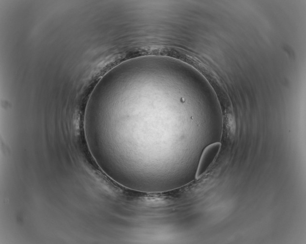 X0000090910668200708061523