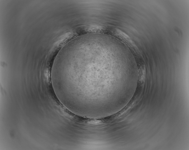 X0000090910669200708061524