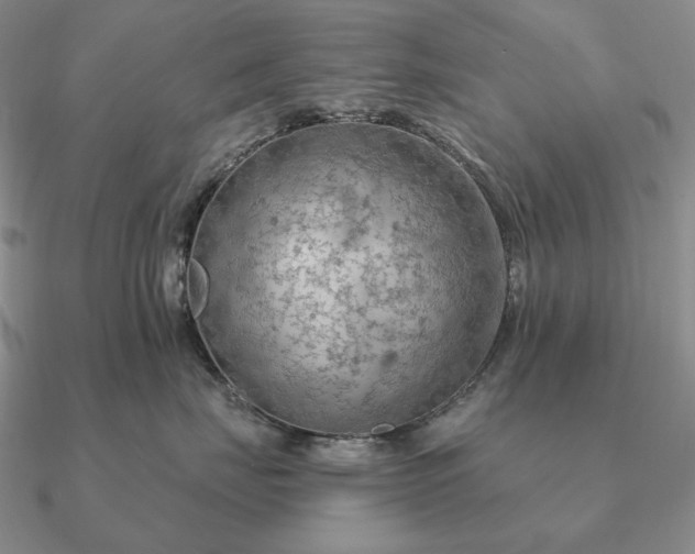 X0000090910671200708061524