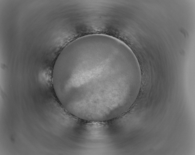 X0000090910672200708061524