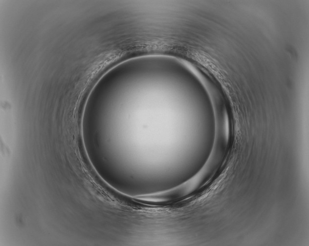 X0000090910673200708061523