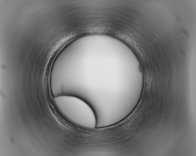 X0000090910674200708061523