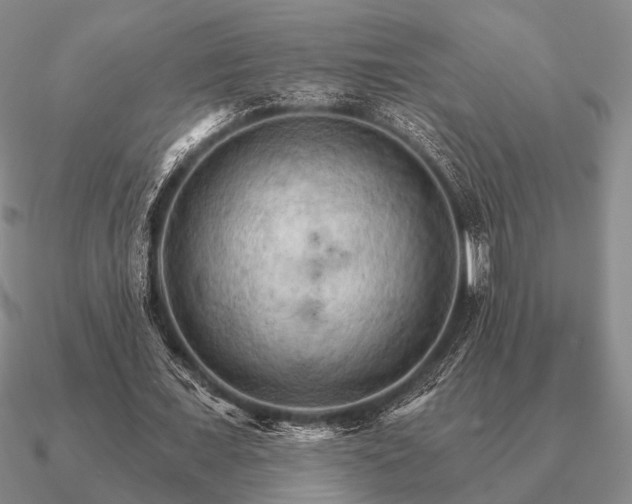 X0000090910675200708061523