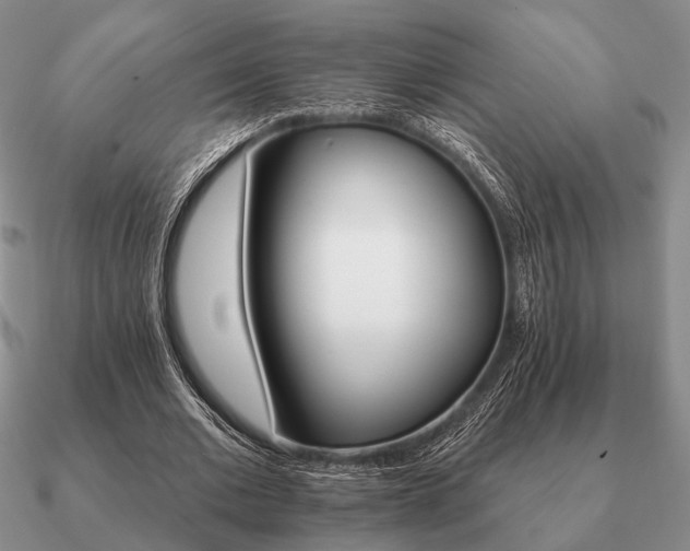 X0000090910677200708061523