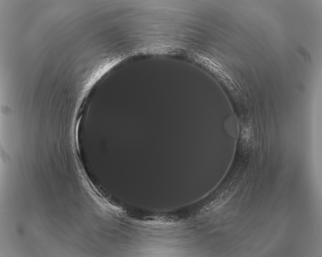 X0000090910678200708061523