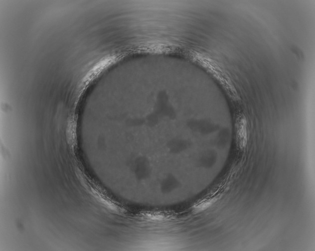 X0000090910679200708061523