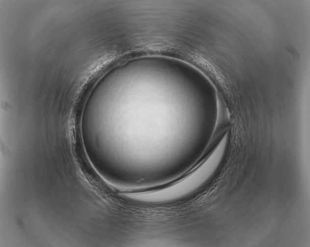 X0000090910680200708061523