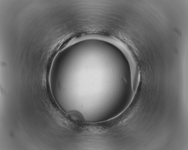 X0000090910681200708061523