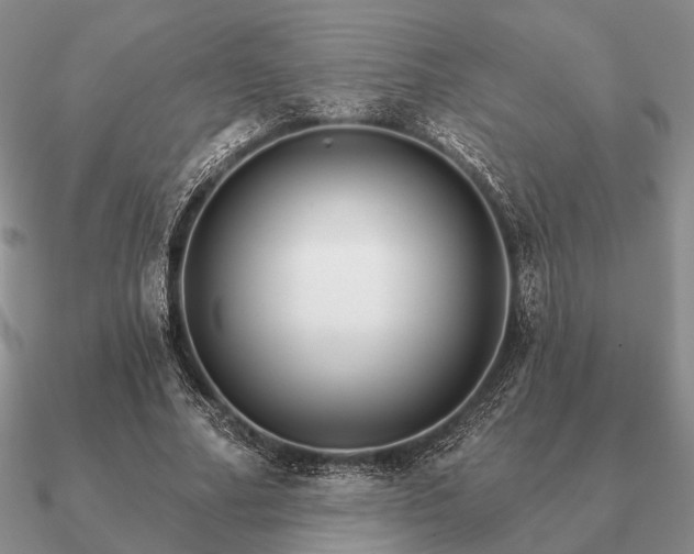 X0000090910682200708061523