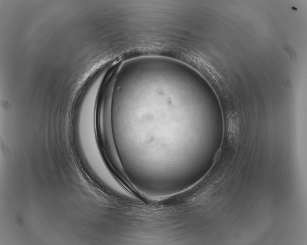 X0000090910684200708061523