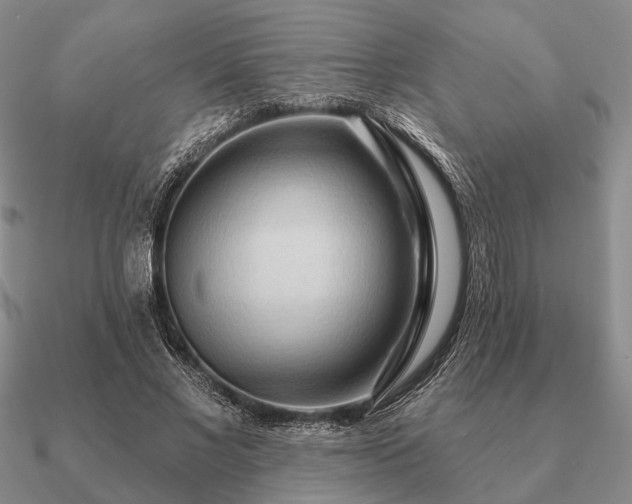 X0000090910685200708061523