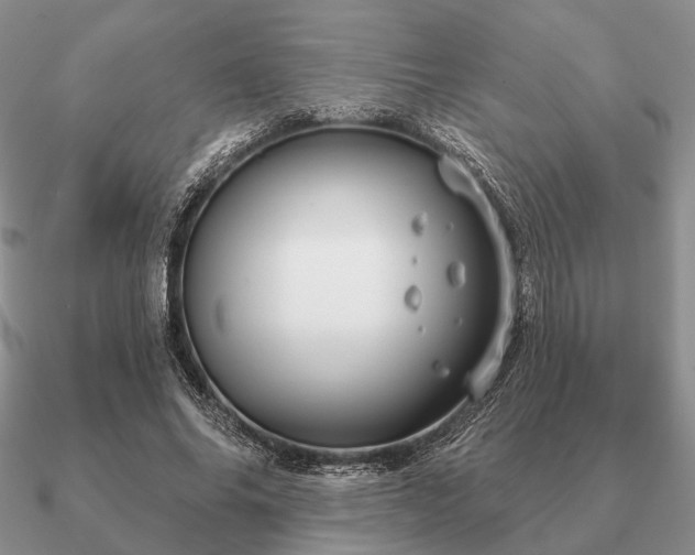 X0000090910686200708061523