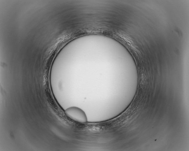 X0000090910687200708061523