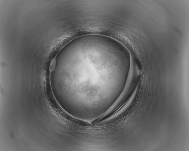 X0000090910688200708061523