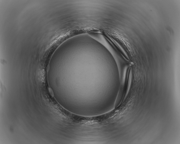 X0000090910689200708061523