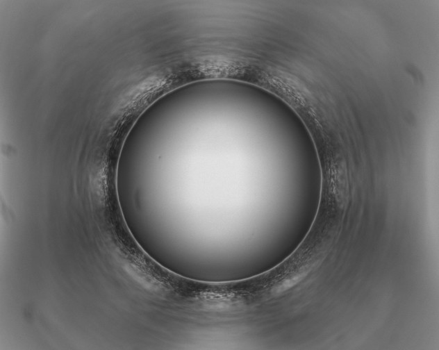 X0000090910690200708061523