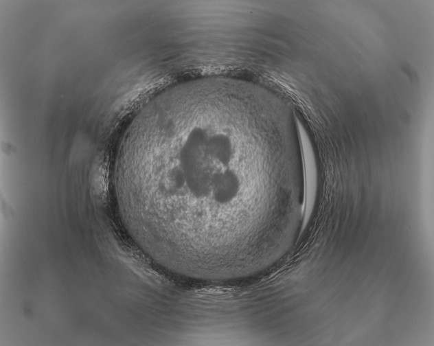 X0000090910691200708061523