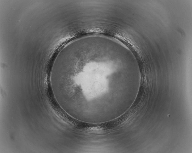 X0000090910692200708061523