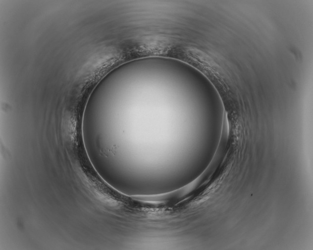 X0000090910693200708061523