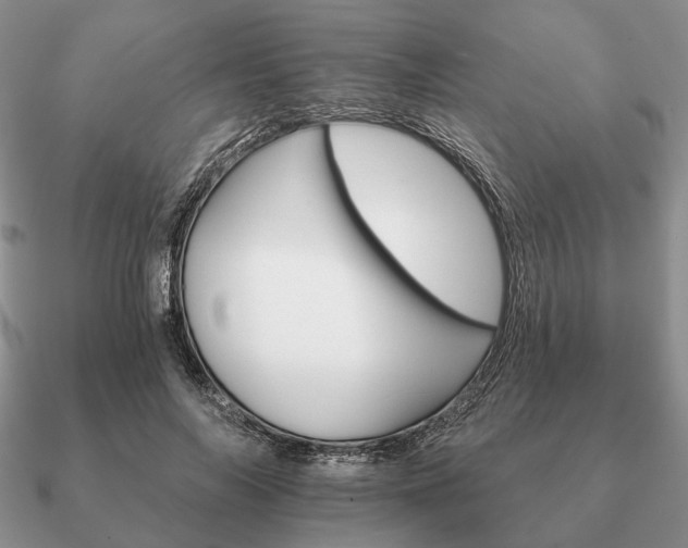 X0000090910694200708061523