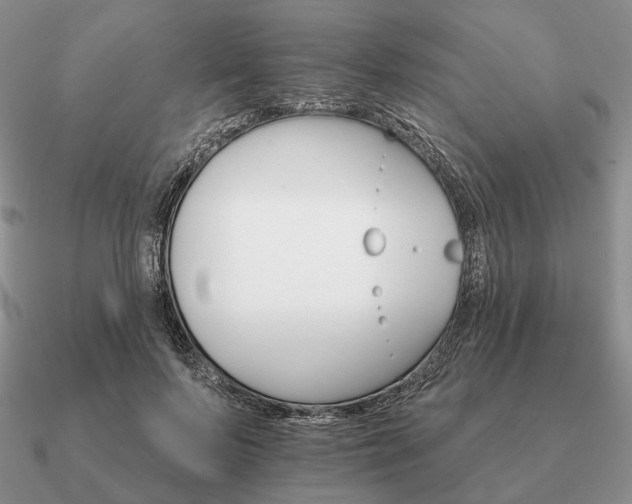 X0000090910695200708061523