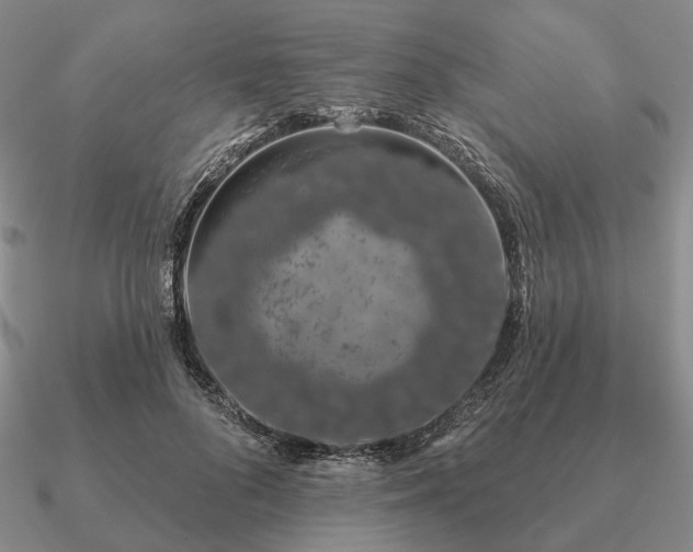 X0000090910696200708061523