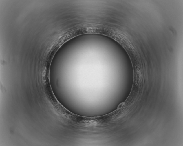 X0000090910698200708061523