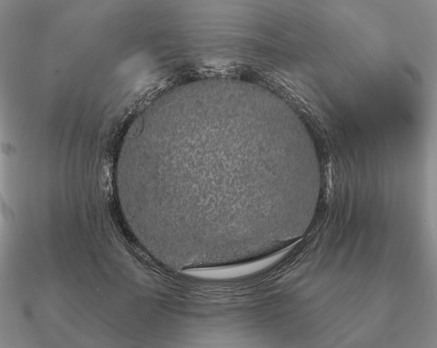 X0000090910699200708061523