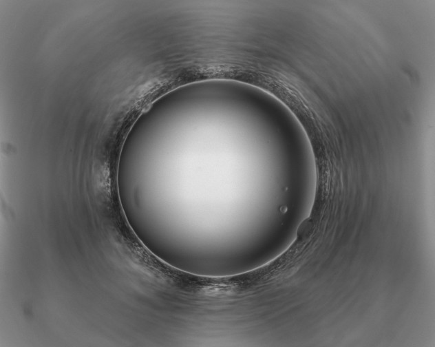 X0000090910700200708061523