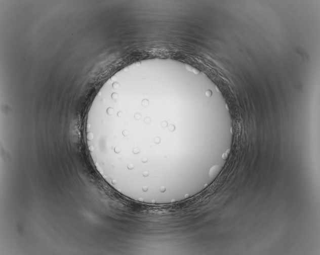 X0000090910702200708061523