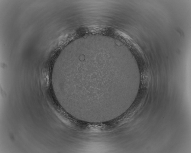 X0000090910703200708061523