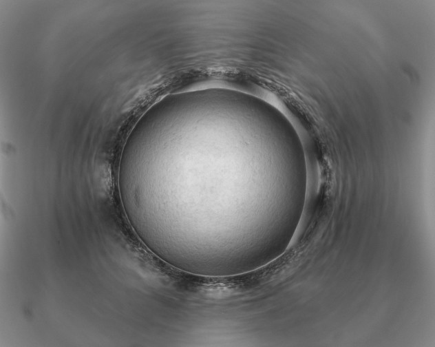 X0000090910704200708061523