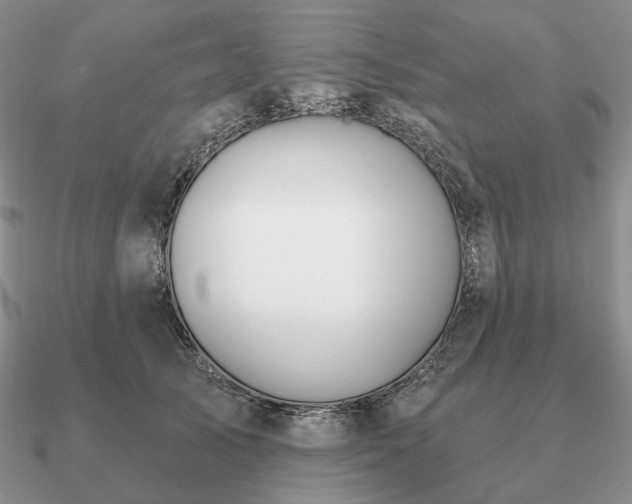 X0000090910705200708061523