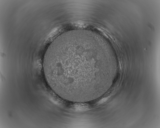 X0000090910707200708061523