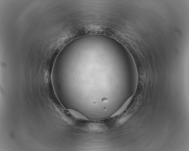 X0000090910708200708061523