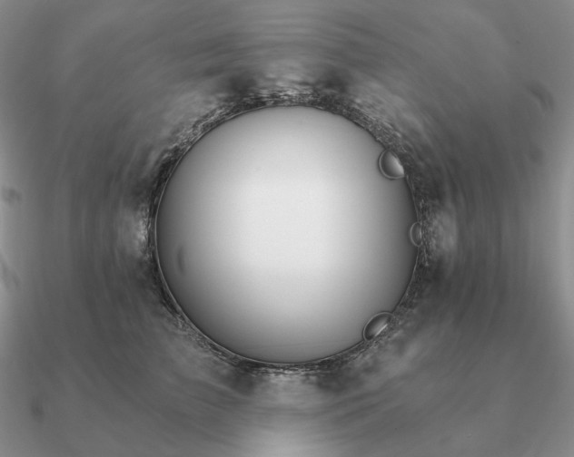 X0000090910709200708061523