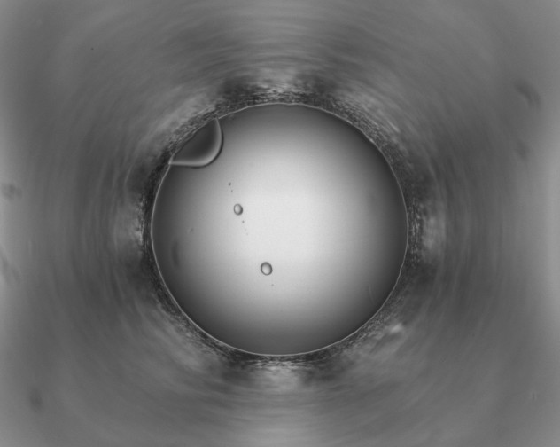 X0000090910710200708061523