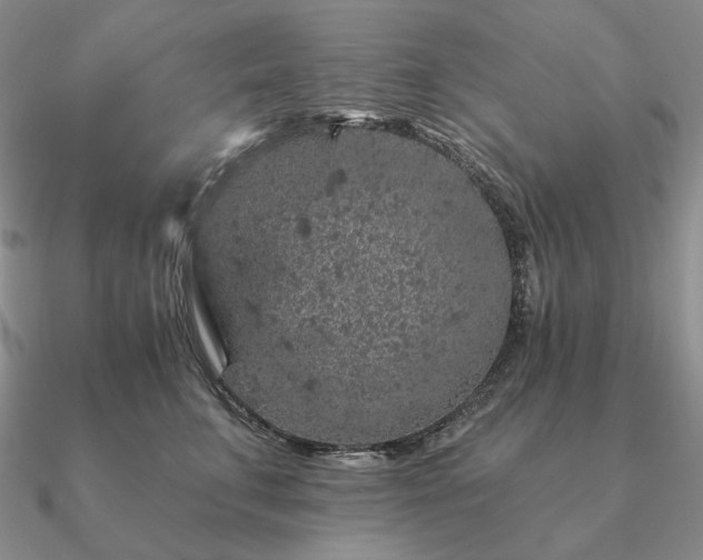 X0000090910711200708061523