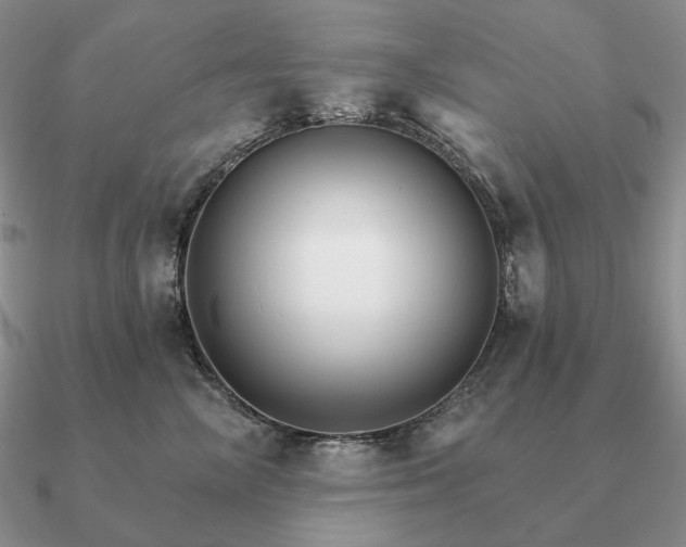 X0000090910714200708061523