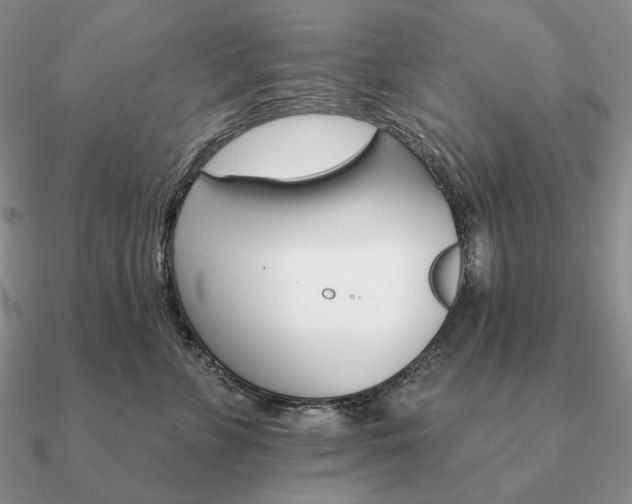 X0000090910715200708061523