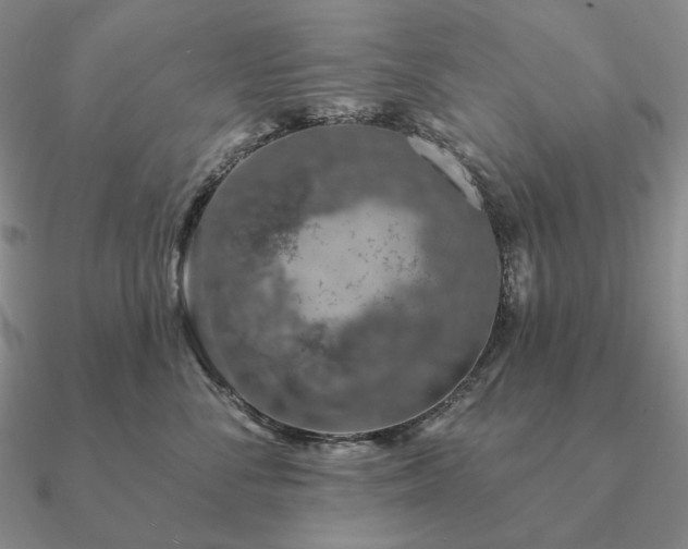 X0000090910716200708061522