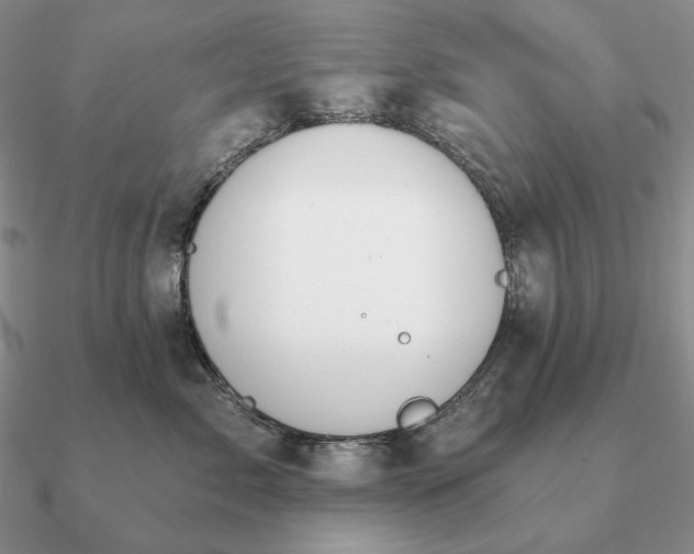 X0000090910717200708061522