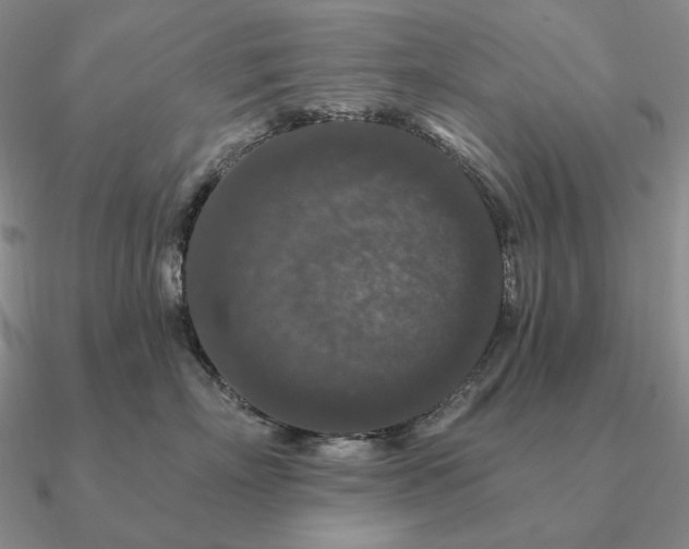 X0000090910718200708061522