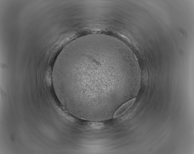 X0000090910719200708061522