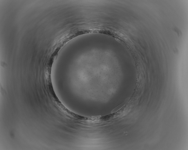 X0000090910720200708061522