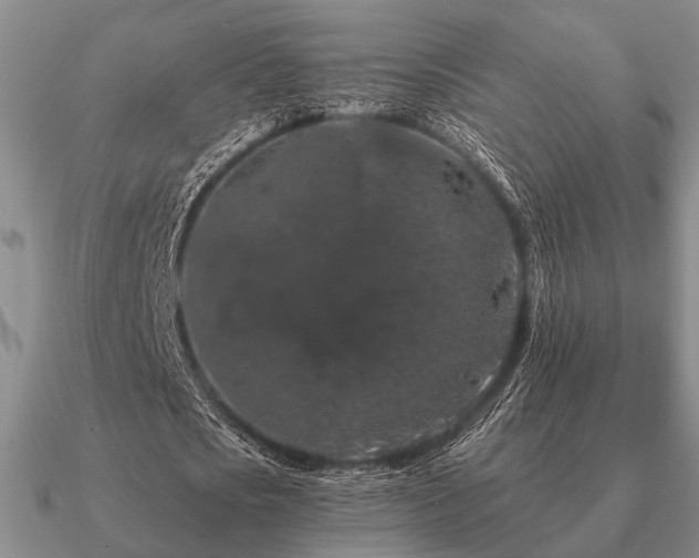 X0000090910721200708061522