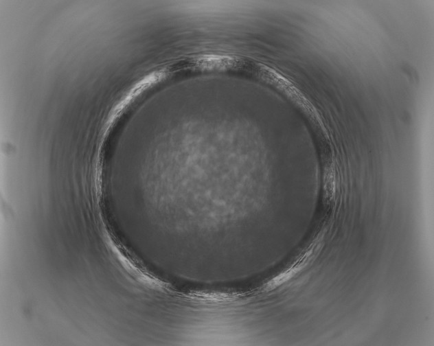 X0000090910722200708061522